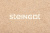 ���������� ������ Steingot �������� ������� ��������� �������